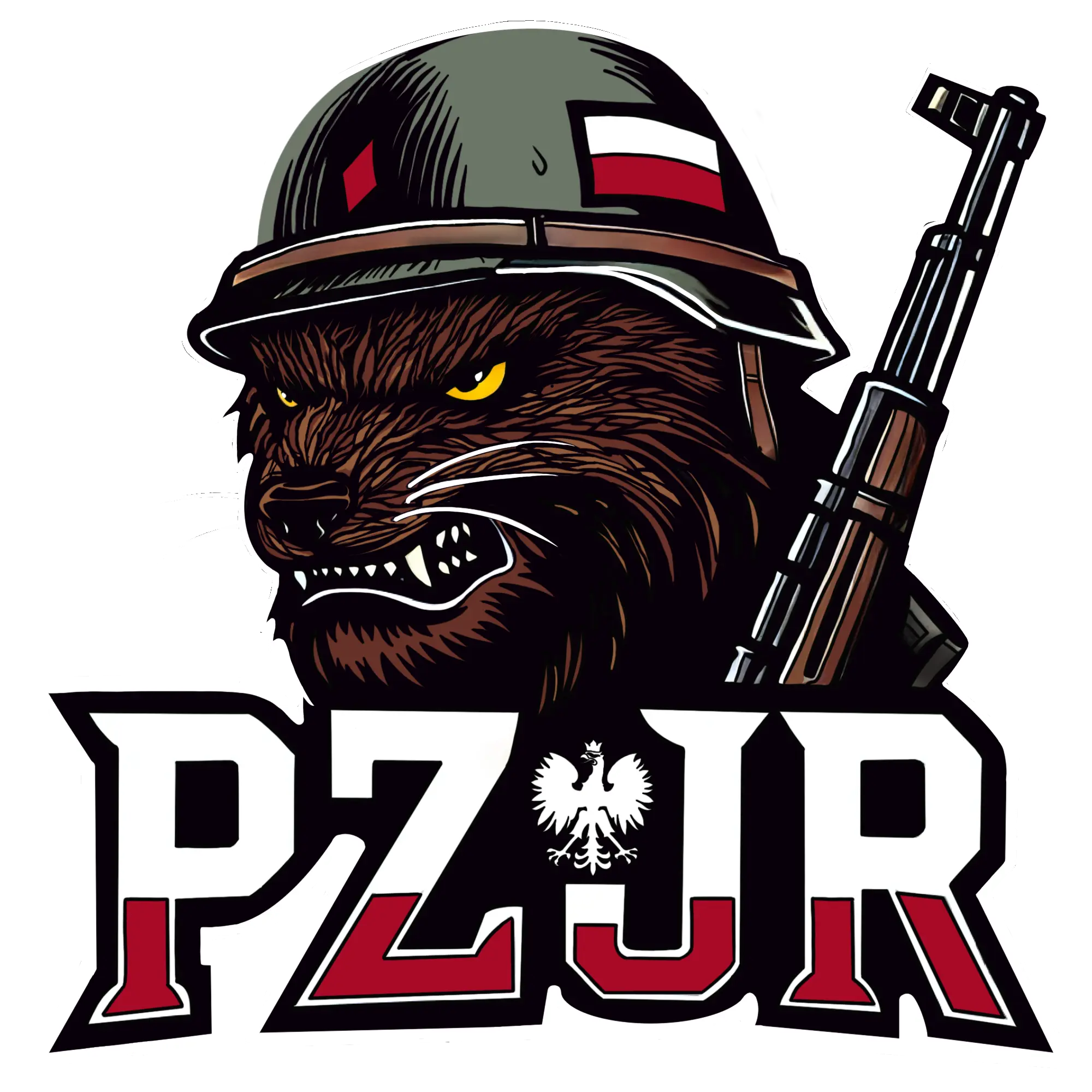 logo pzjr